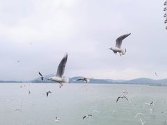 -蠡湖大桥公园