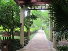 -三亚亚龙湾凯莱仙人掌度假酒店