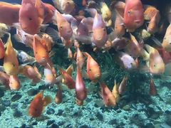 -福州罗源湾海洋世界旅游区