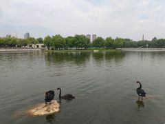 -长春世界雕塑园冰雪艺术天地