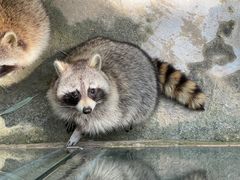 -杭州野生动物世界
