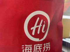 -海底捞火锅(吾悦国际广场店)