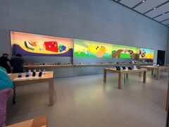 -Apple零售店(华贸购物中心店)