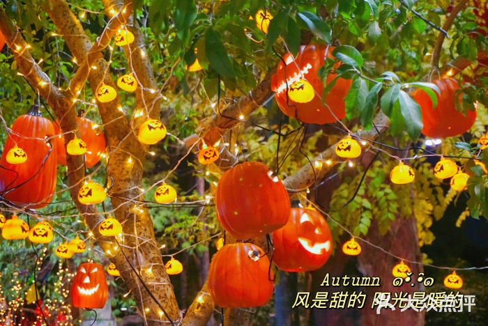 杭州乐园图片