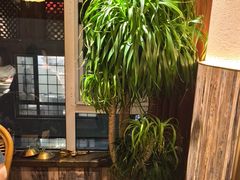 -慢丽江·云南野生菌土鸡锅(付家庄店)