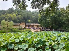 -韶山毛泽东同志故居