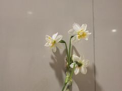 -宝大祥青少年儿童购物中心(南京东路店)