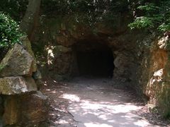 -上海佘山国家森林公园天马山园