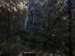 -北京十三陵国家森林公园蟒山景区