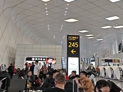-郑州新郑国际机场-T2航站楼