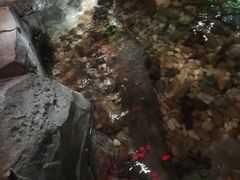 -无锡海洋馆