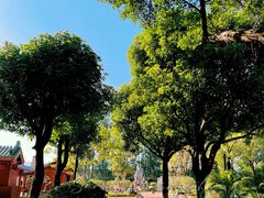 -广东圆玄道观