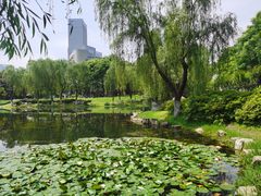 -后襄河公园