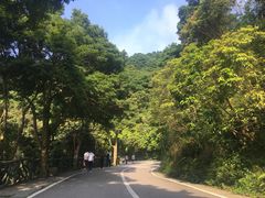 -梧桐山风景名胜区