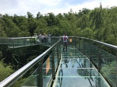 -陶祖圣境风景区