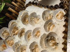 -初色海鲜自助(万丰路店)