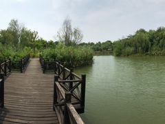 -梁鸿国家湿地公园