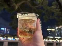 -珠江夜游天字码头