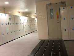 -奥林匹克体育中心游泳馆