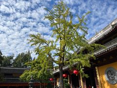 -龙华寺