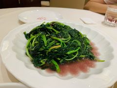 清炒红苋菜-得月楼·省级非遗·传统苏帮菜(观前店)