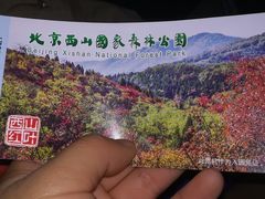 门票-北京西山国家森林公园