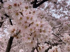 -苏州上方山国家森林公园