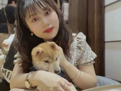 -逗柴咖啡屋·狗咖猫咖宠物桌游