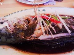 清蒸鳜鱼 108一斤-鸿宾楼(展览馆路店)
