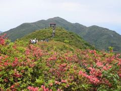 -大围山国家森林公园
