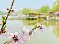 -廊坊市自然公园
