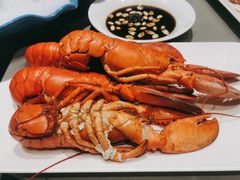 龙虾-神洲四海大酒楼(王府井澳门中心店)