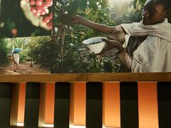 -星巴克(长沙麓南广场店)