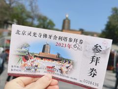 -八大处公园