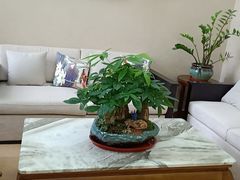 -宋庆龄国际幼儿园(惠山路)