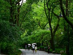 -杭州植物园
