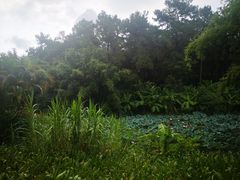 -金山植物公园