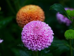 -共青国家森林公园-售票处