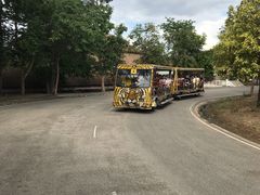 -清迈夜间动物园