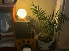 -逸栈养生SPA(望京店)