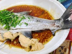 -水上鱼当家