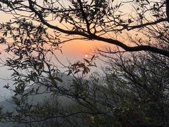-紫金山山顶公园