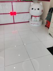 -咪咪比基尼脱毛专业店