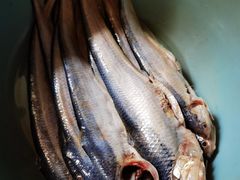 -芦潮港集贸市场