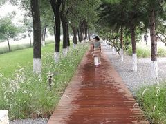 -汉长安城未央宫国家考古遗址公园