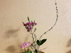 -猫音日语留学培训