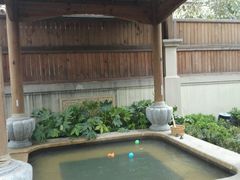 -思念果岭悦温泉