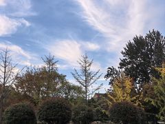 -西安唐皇城墙含光门遗址博物馆