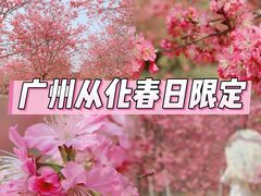 -天适樱花悠乐园