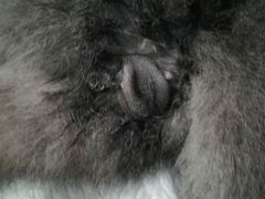 -美迦爱-牙专科·兔科·骨科诊疗中心(北苑店)